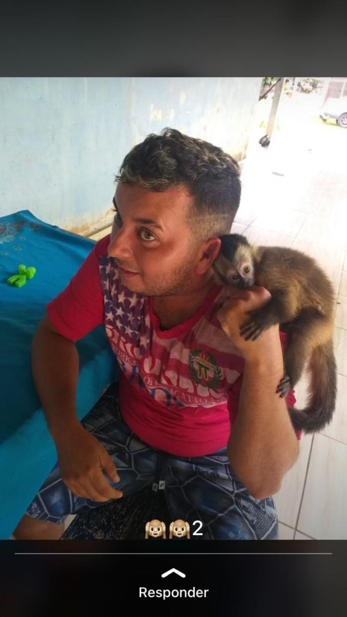 Jovem pega AIDS após transar com macaco em Nobres MT