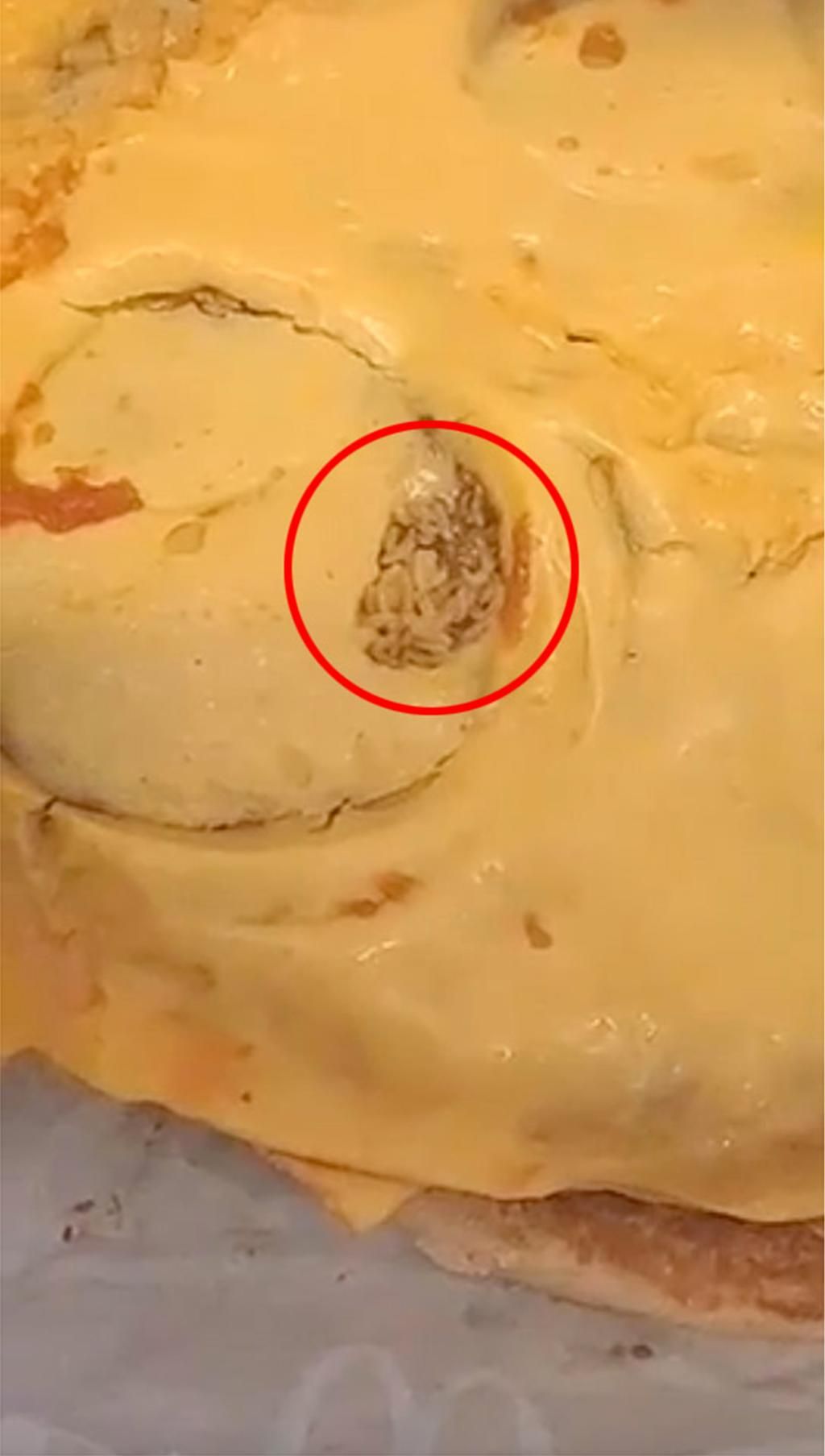 Maggots,Moving And food running In local ohio  mcdonald's