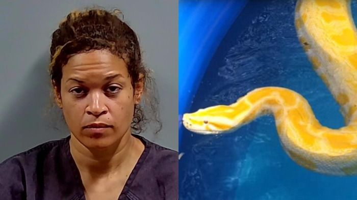 Florida Woman Arrested After Throwing Snake In Ex-Boyfriend's Pool