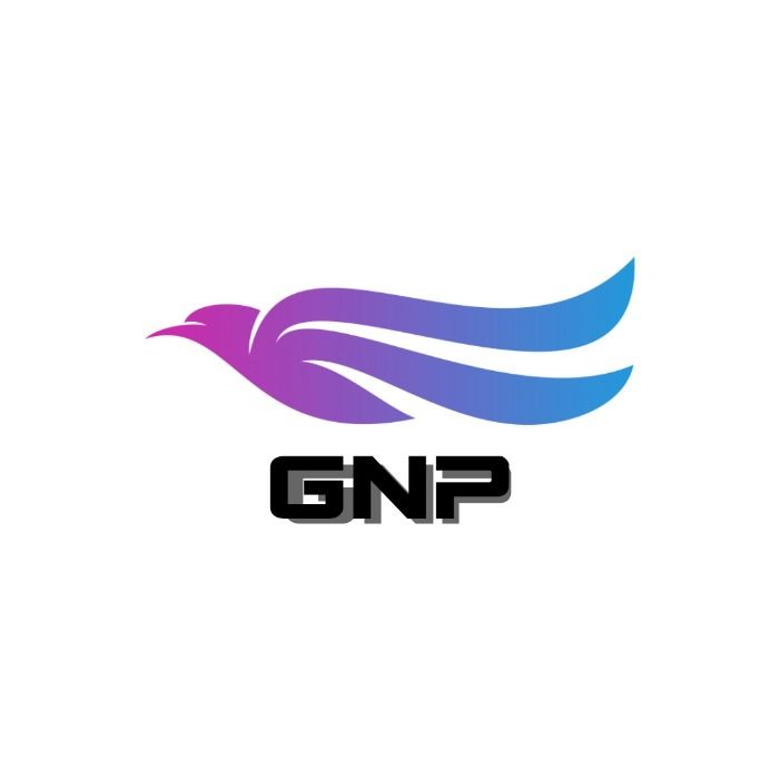 AirGacha introduced a new plane industry, GNP