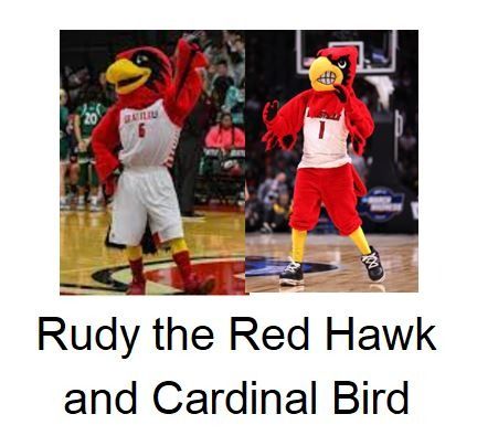 Rudy the redbird