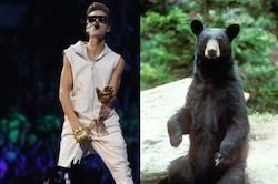 Enfin, preuve que Justin Bieber EST insupportable : un pêcheur russe sauvé d'une attaque d'ours lorsqu'une sonnerie contenant l'une des chansons du gosse de la pop lui fait peur